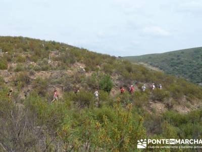 Parque Nacional Monfragüe - Reserva Natural Garganta de los Infiernos-Jerte;viajes organizados madr